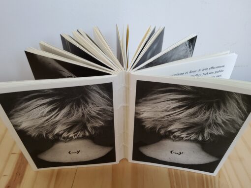 Poèmes typodermiques (parution)