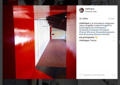 5. je convoque le rouge pour mieux congédier le bleu