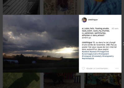 15. ou dans le ciel chargé d’une soirée de novembre.