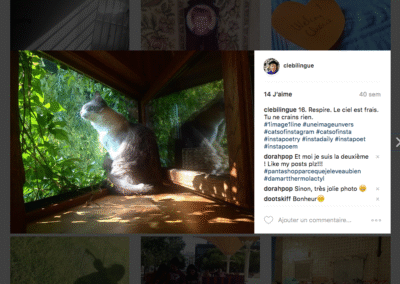 16. Respire. Le ciel est frais. Tu ne crains rien.