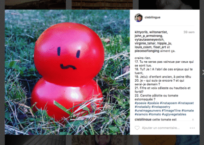 22. Carotte pâlotte ou tomate estomaquée ?