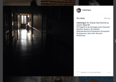 23. Champ fleurilluminé ou couloir déserté ?