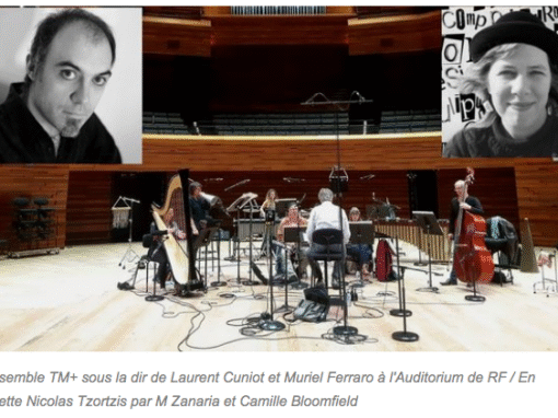 Immobilités (livret pour musique contemporaine)