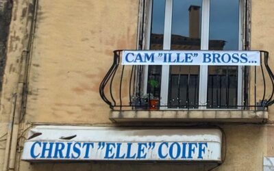 Dans le sens du poil — poésie &&nbsp;coiffure (installation)